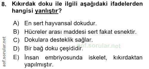 Soru 8