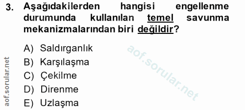 Soru 3