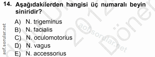 Soru 14