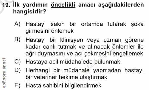 Soru 19