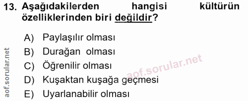 Soru 13