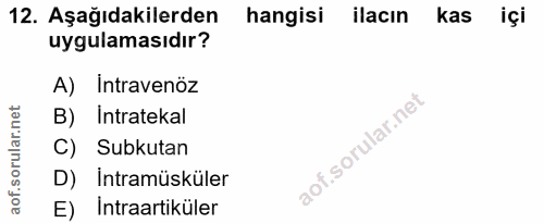Soru 12
