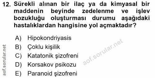 Soru 12