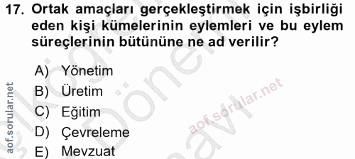Soru 17