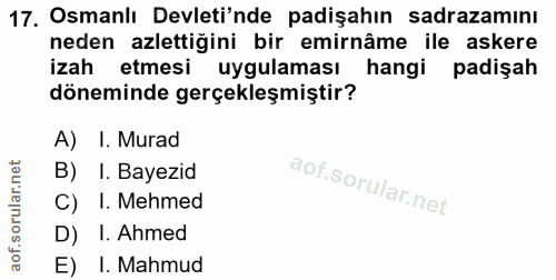 Soru 17