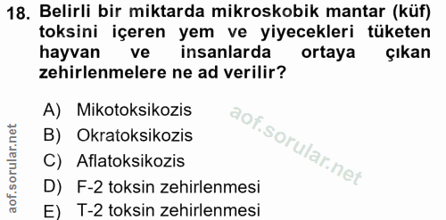 Soru 18