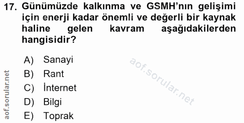 Soru 17