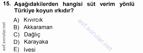 Soru 15