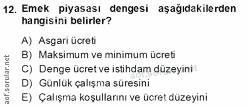 Soru 12