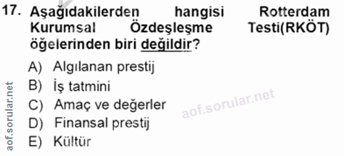 Soru 17