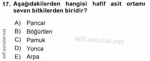 Soru 17