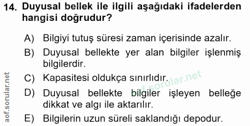 Soru 14