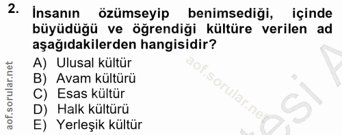 Soru 2