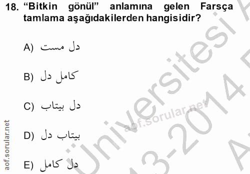 Soru 18