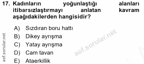 Soru 17