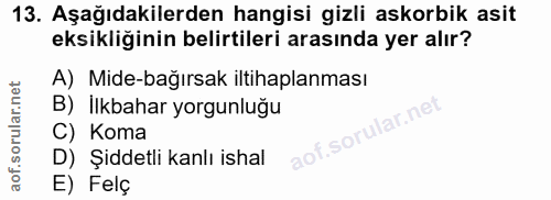 Soru 13