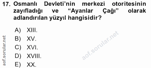 Soru 17