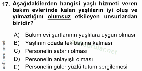 Soru 17