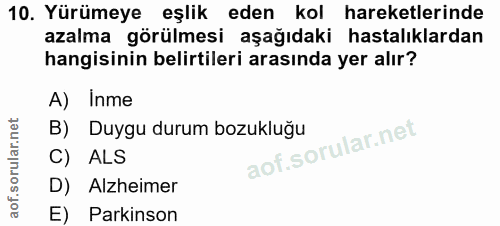 Soru 10