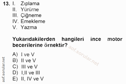 Soru 13