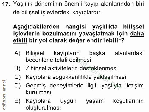Soru 17