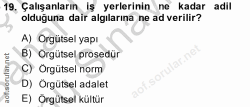 Soru 19