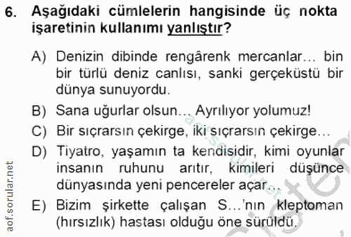 Soru 6