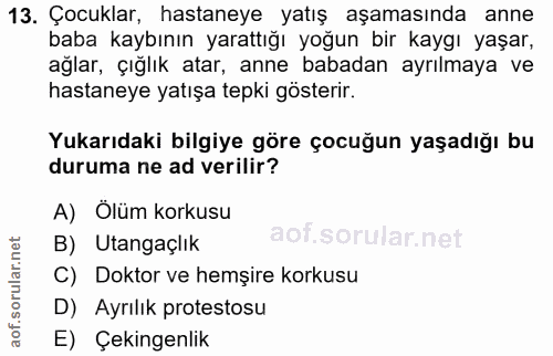 Soru 13