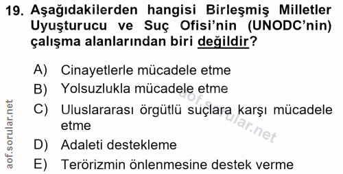 Soru 19