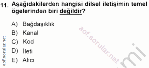 Soru 11