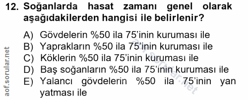 Soru 12