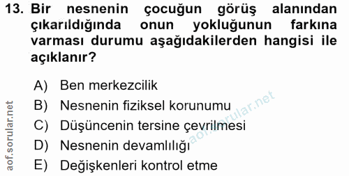 Soru 13