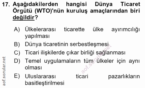 Soru 17