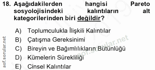 Soru 18