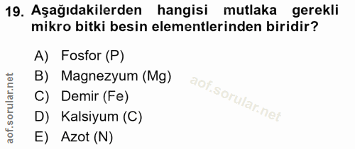 Soru 19