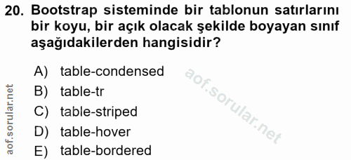Soru 20