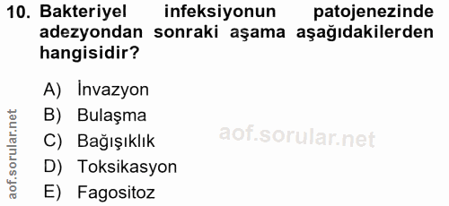 Soru 10