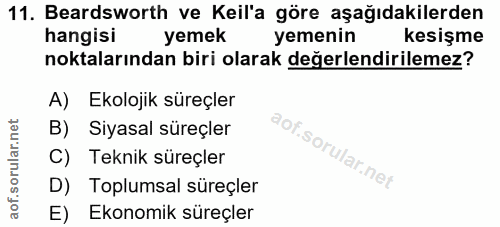 Soru 11