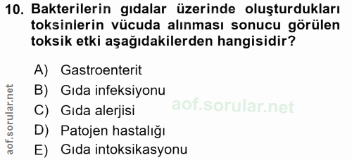 Soru 10