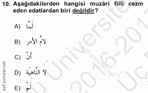 Soru 10