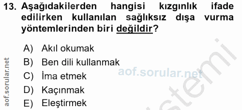 Soru 13