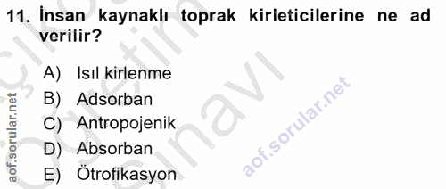 Soru 11