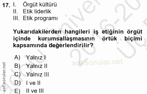 Soru 17