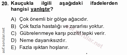 Soru 20