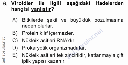 Soru 6