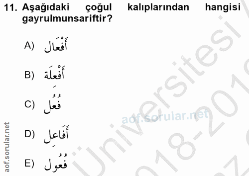 Soru 11