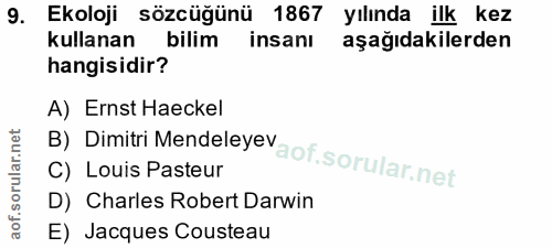 Soru 9