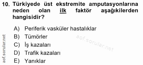Soru 10