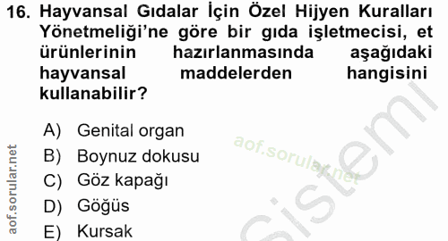 Soru 16