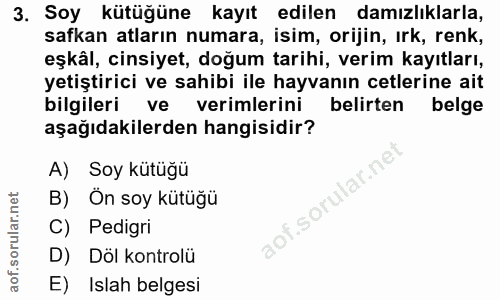 Soru 3